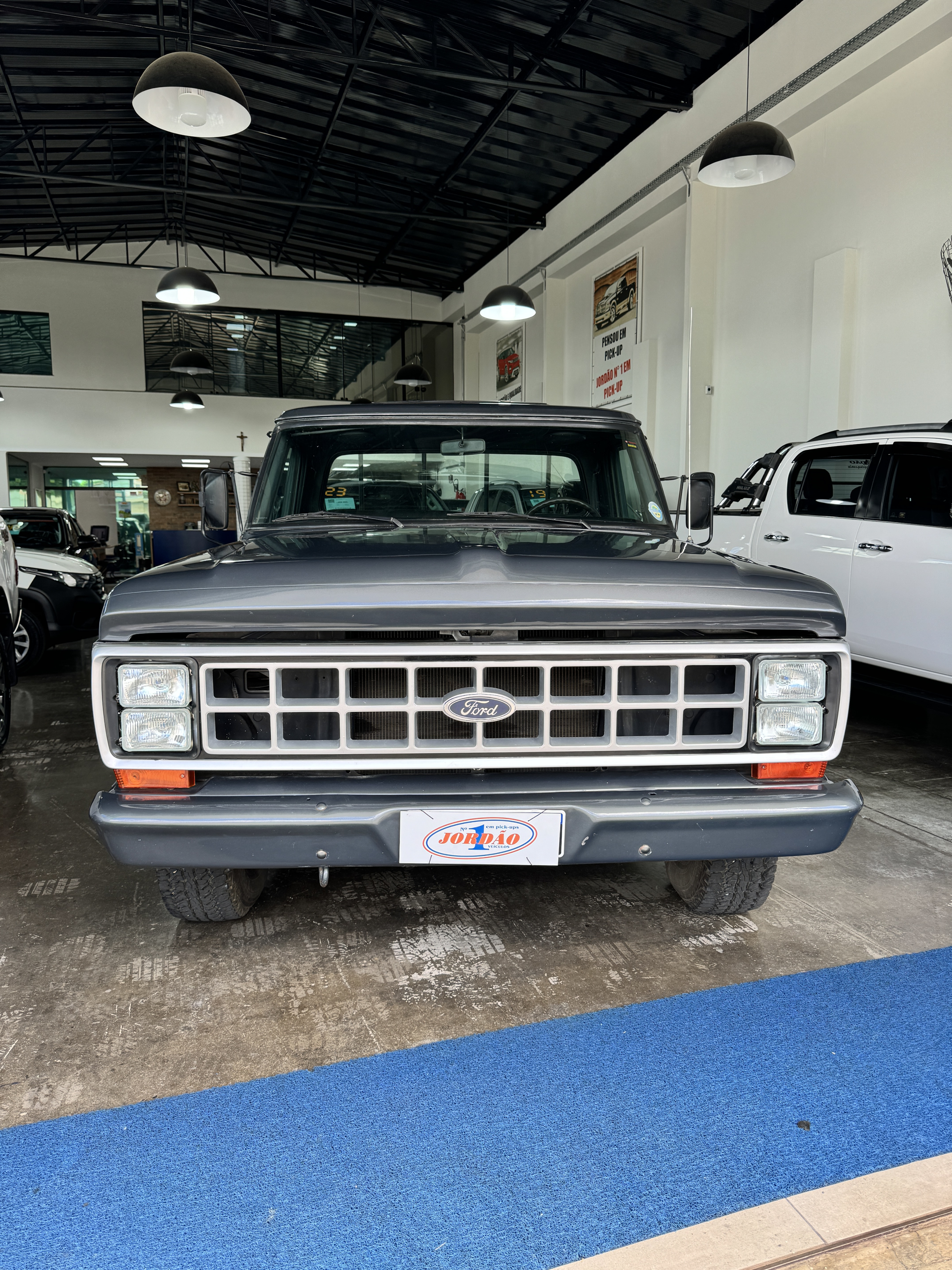 FORD F1000S 1988